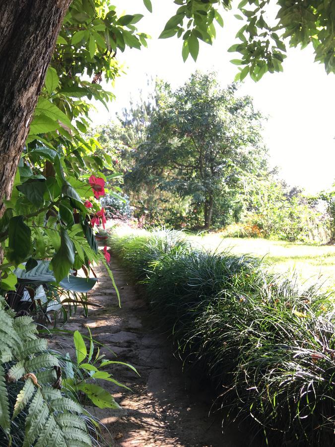 Hidden Paradise Guest House Pókhara Exteriér fotografie